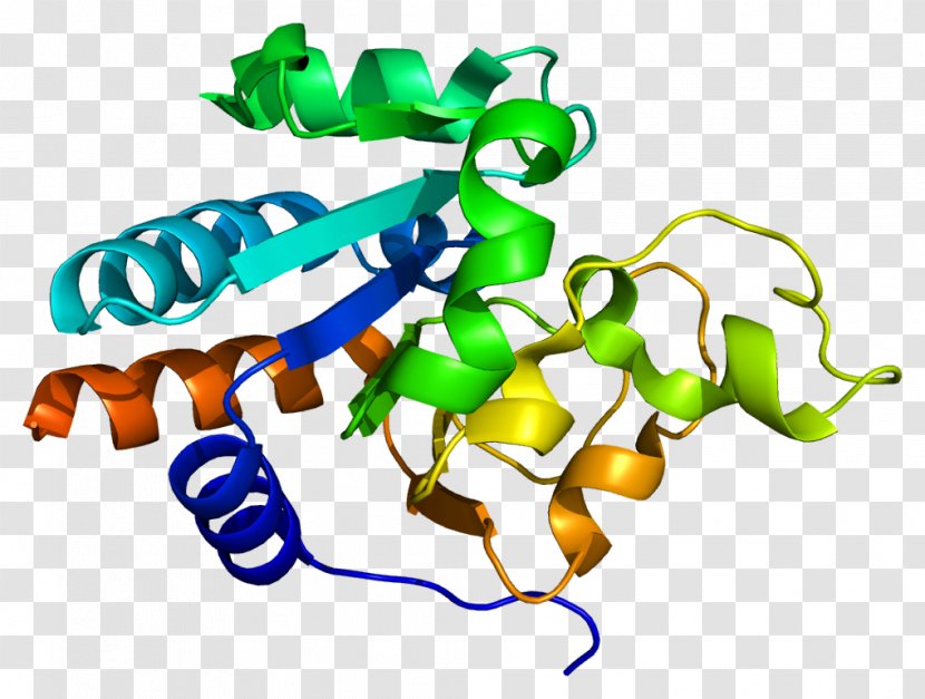NNT Monoamine Oxidase Protein Number Needed To Treat Enzyme - Animal Figure Transparent PNG