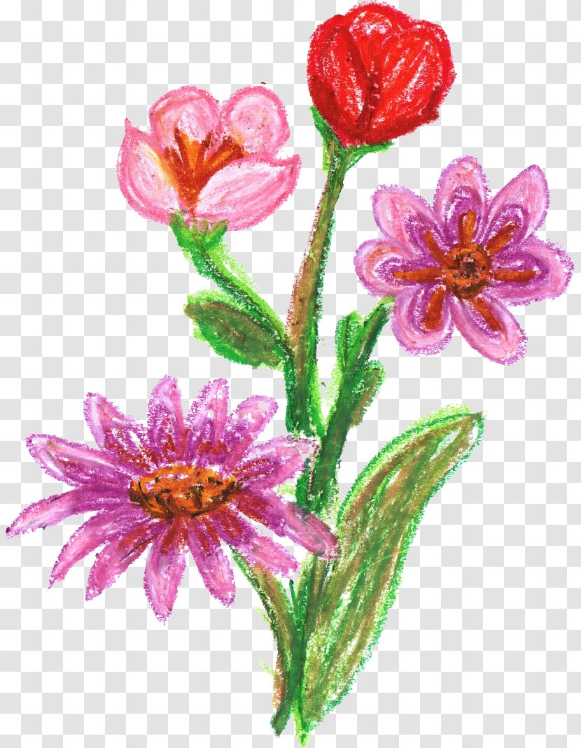 Cut Flowers Floral Design Clip Art - Plant - CRAYONS Transparent PNG