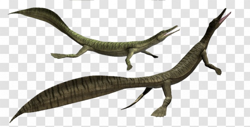 Velociraptor 3D Modeling Plesiosaurus Computer Graphics Dinosaur - Fauna Transparent PNG