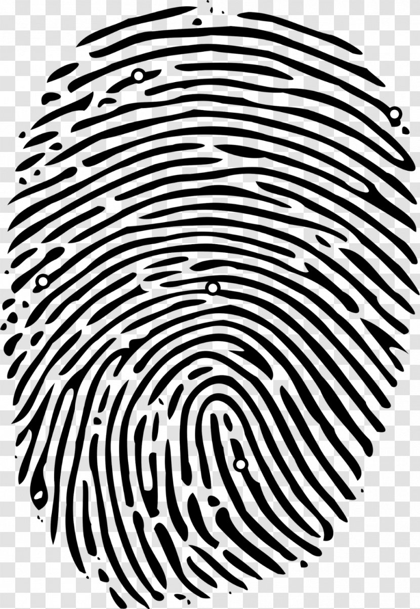 Fingerprint - Black - Loop Vector Transparent PNG