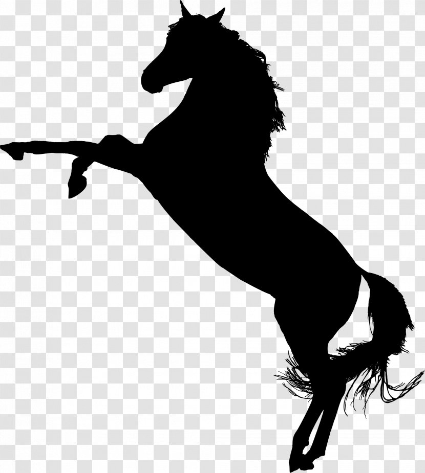 Tennessee Walking Horse Mustang Stallion Mare Clip Art - Jumping - Arab Transparent PNG