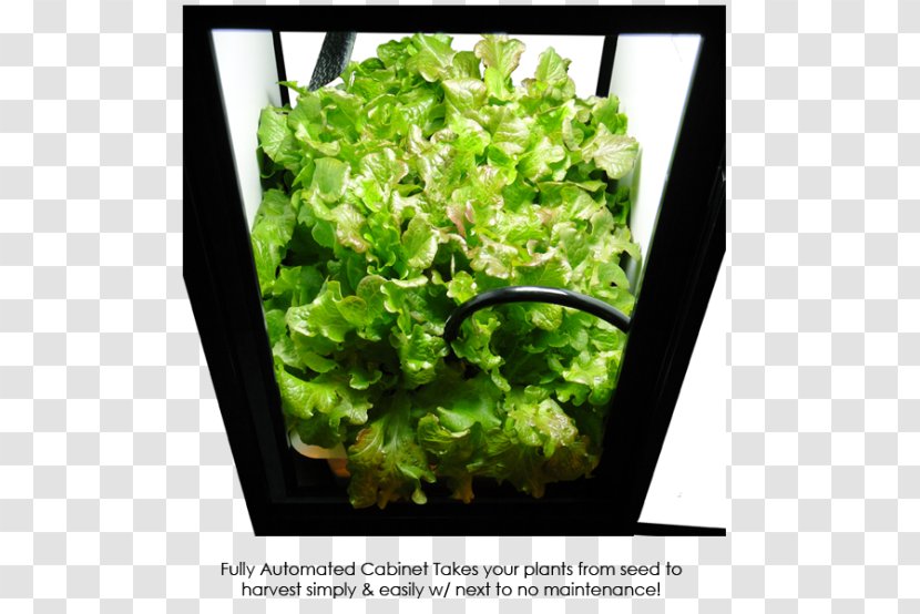 Grow Box Growroom Hydroponics Light Light-emitting Diode - Flowerpot Transparent PNG