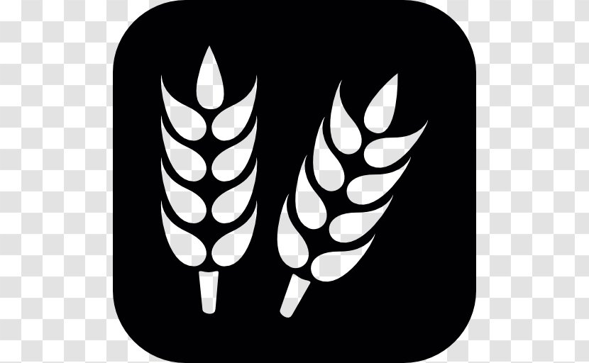 Grain Wheat Food - Monochrome - Grains Background Transparent PNG