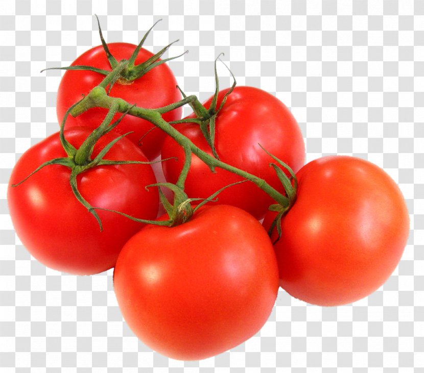 Tomato Juice Vegetable Food Can - Bush Transparent PNG