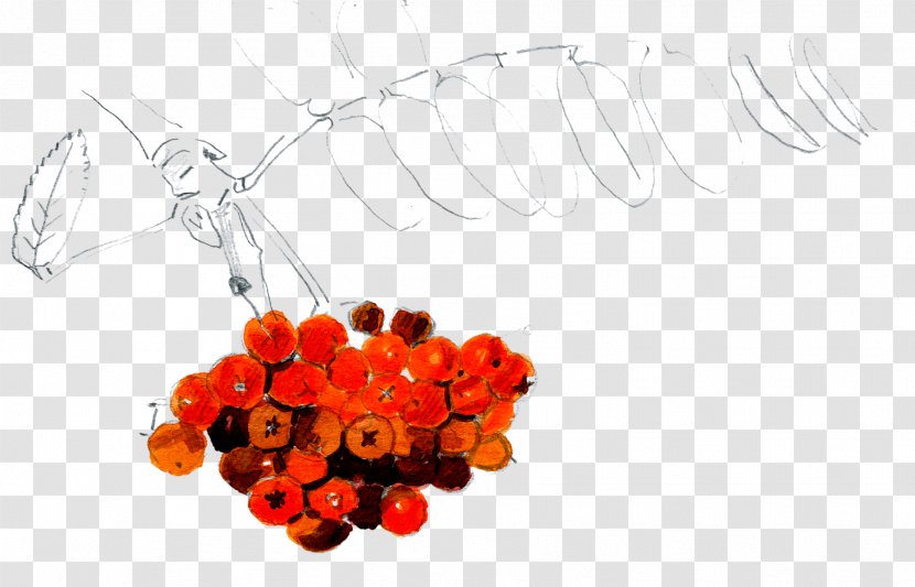 Body Jewellery Fruit Transparent PNG