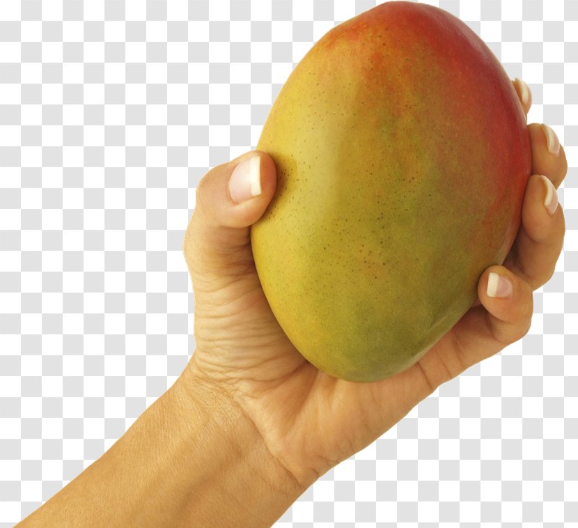 Mango Juice Fruit Veganism Food - Recipe Transparent PNG