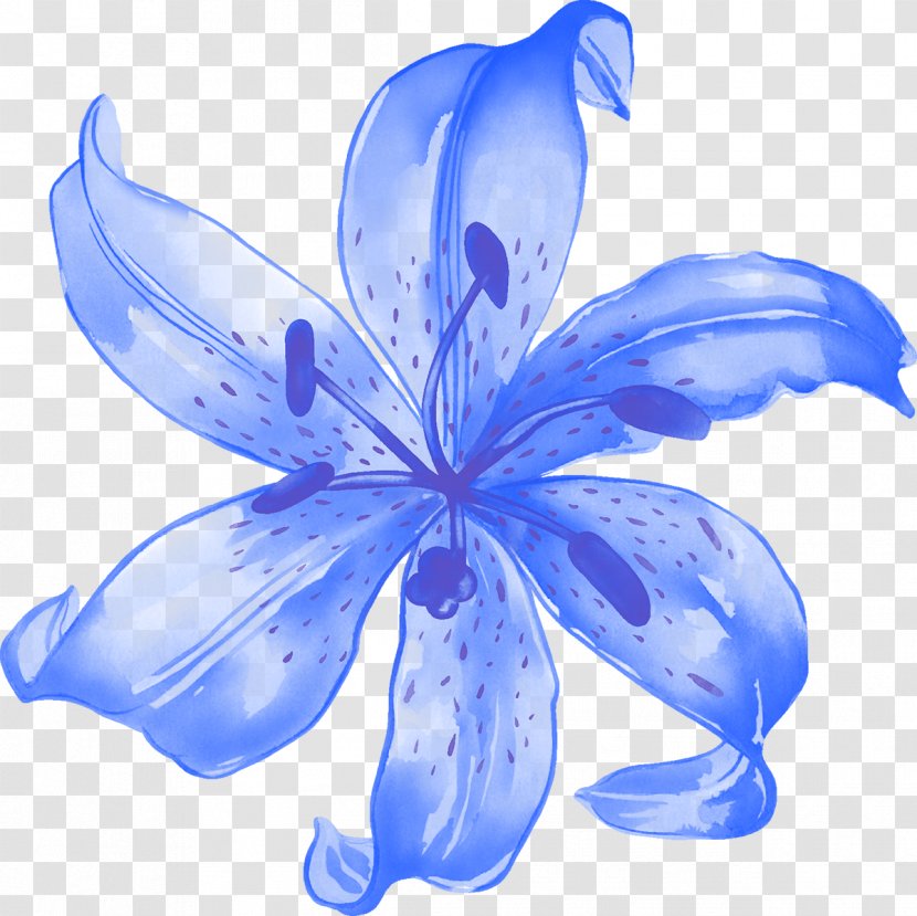 Lilium Rendering Flower Blue - Petal - Lily Transparent PNG
