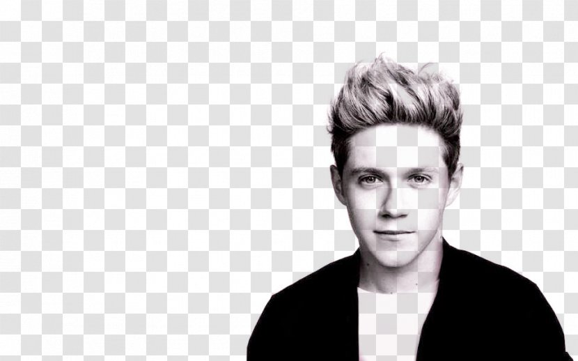 Niall Horan One Direction Where We Are Tour Made In The A.M. - Flower Transparent PNG