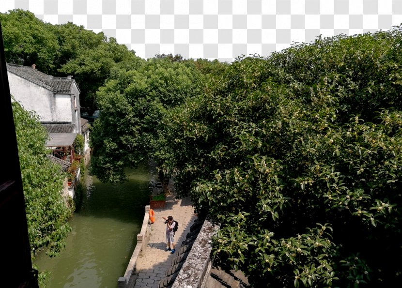 Tongli U53e4u93aeu540cu91cc Town - Canal - Suzhou Pictures Transparent PNG