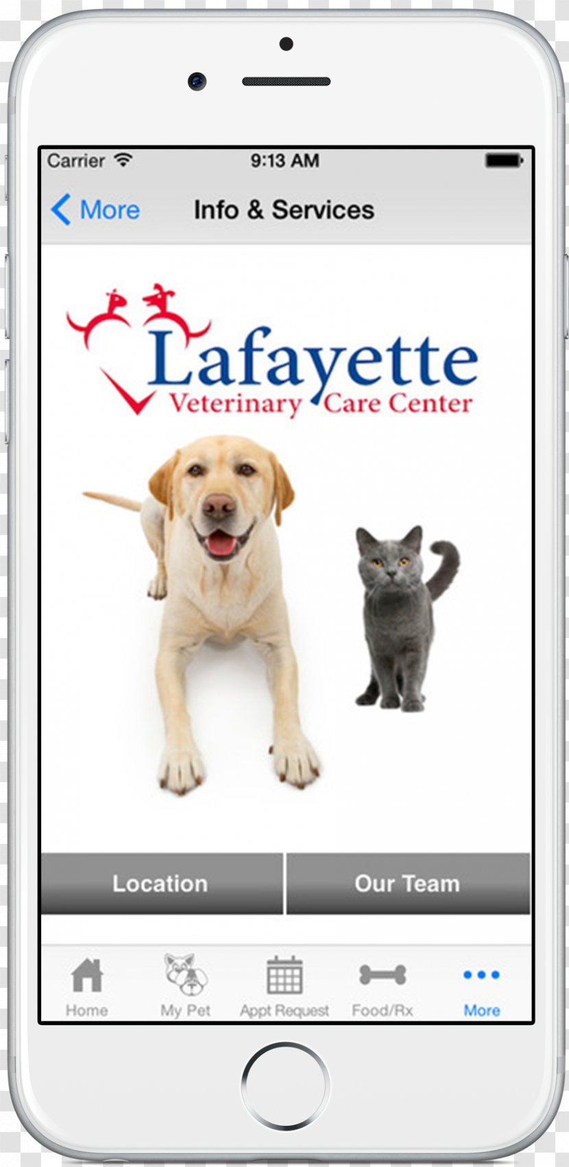 Dog Breed Puppy Lafayette Veterinary Care Center Veterinarian Transparent PNG