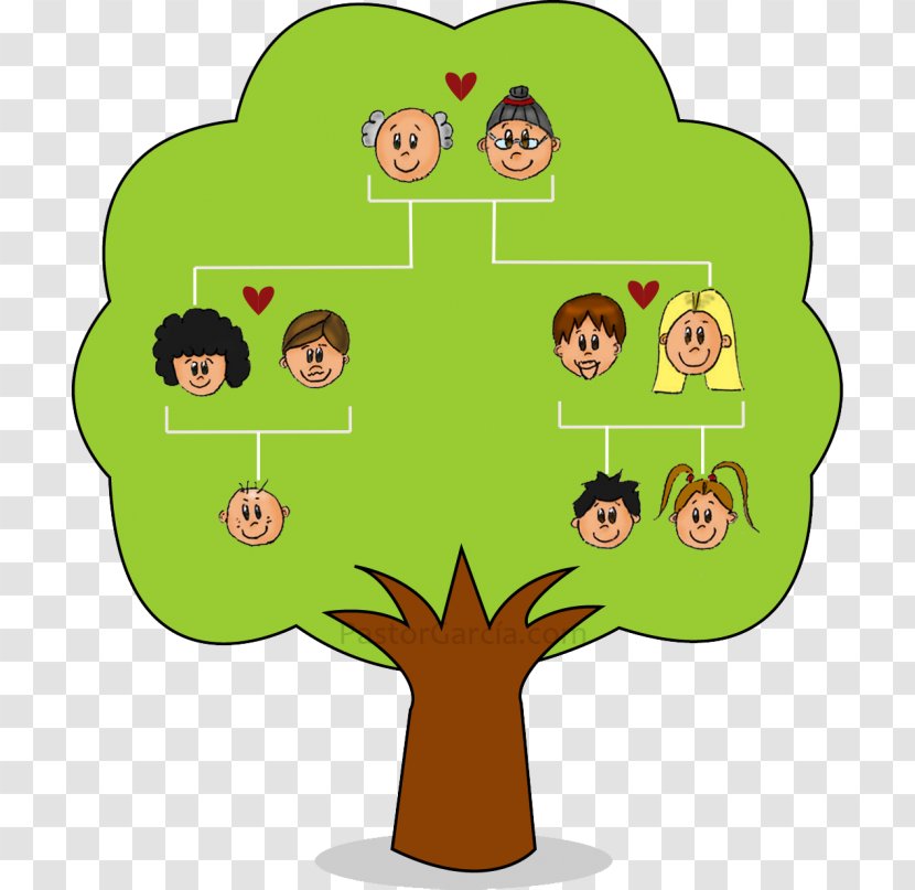 Family Tree Drawing - Grass - Plant Transparent PNG