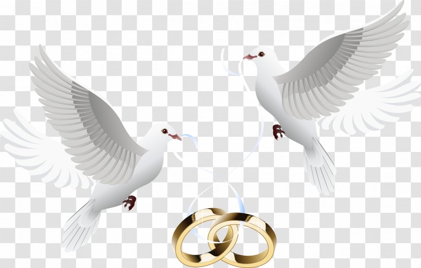 Wedding Invitation Cake Ring - Marriage Officiant - Pigeon Transparent PNG