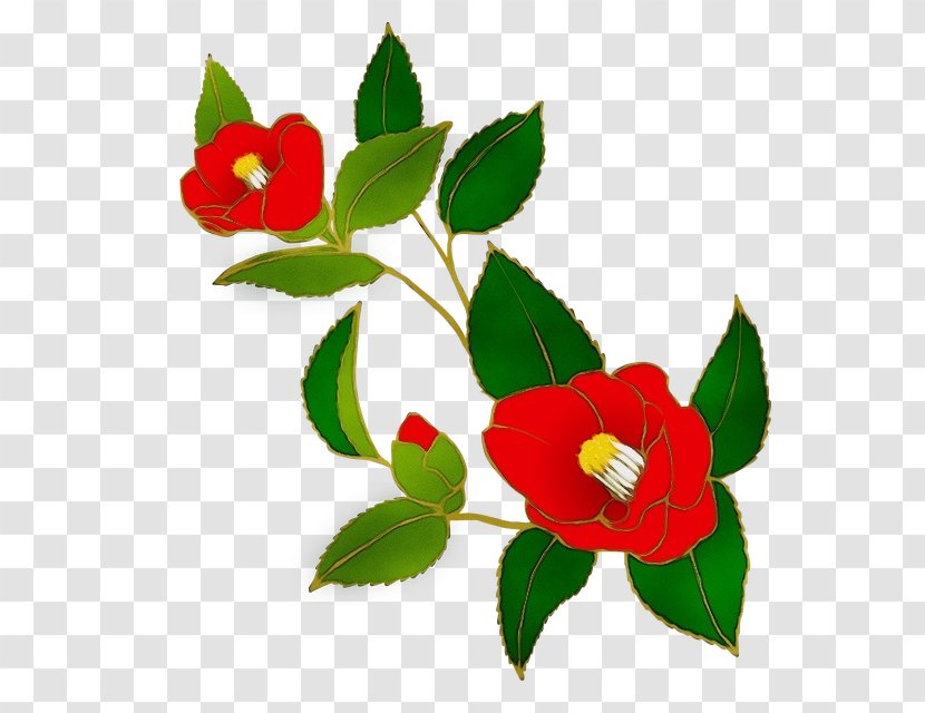 Flower Plant Red Flowering Leaf - Paint - Petal Transparent PNG