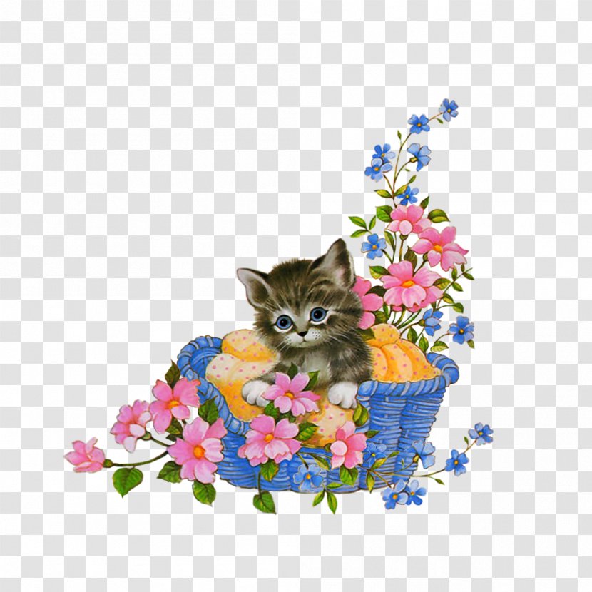 Happiness Afternoon Day Night - Cat In The Basket Transparent PNG