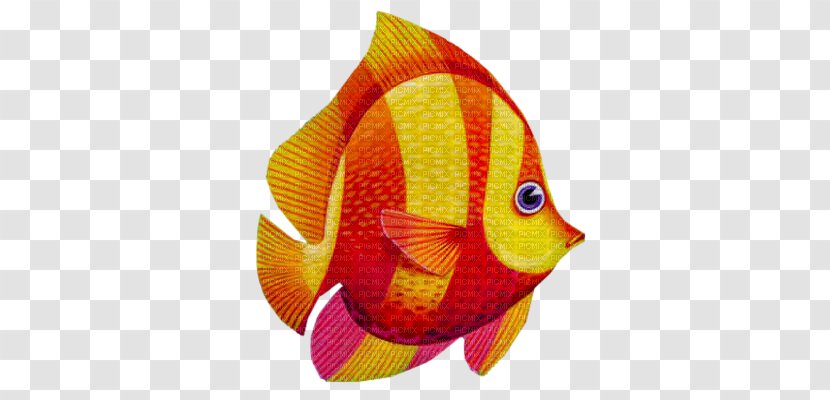 Goldfish Animal - Fish Transparent PNG