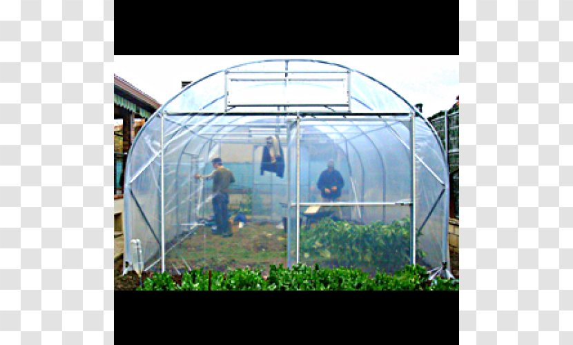 Greenhouse Market Garden Horticulture Tunnel - Snail - Huerto Transparent PNG