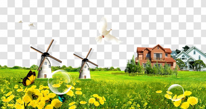 Clip Art - Field - Green Grass House Peace Dove Transparent PNG