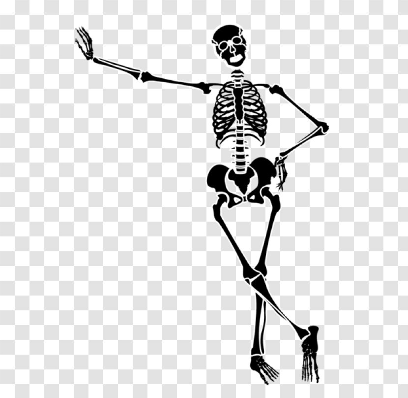 Human Skeleton At The 2018 Winter Olympics - Black And White - Men Clip ArtRunning Cliparts Transparent PNG