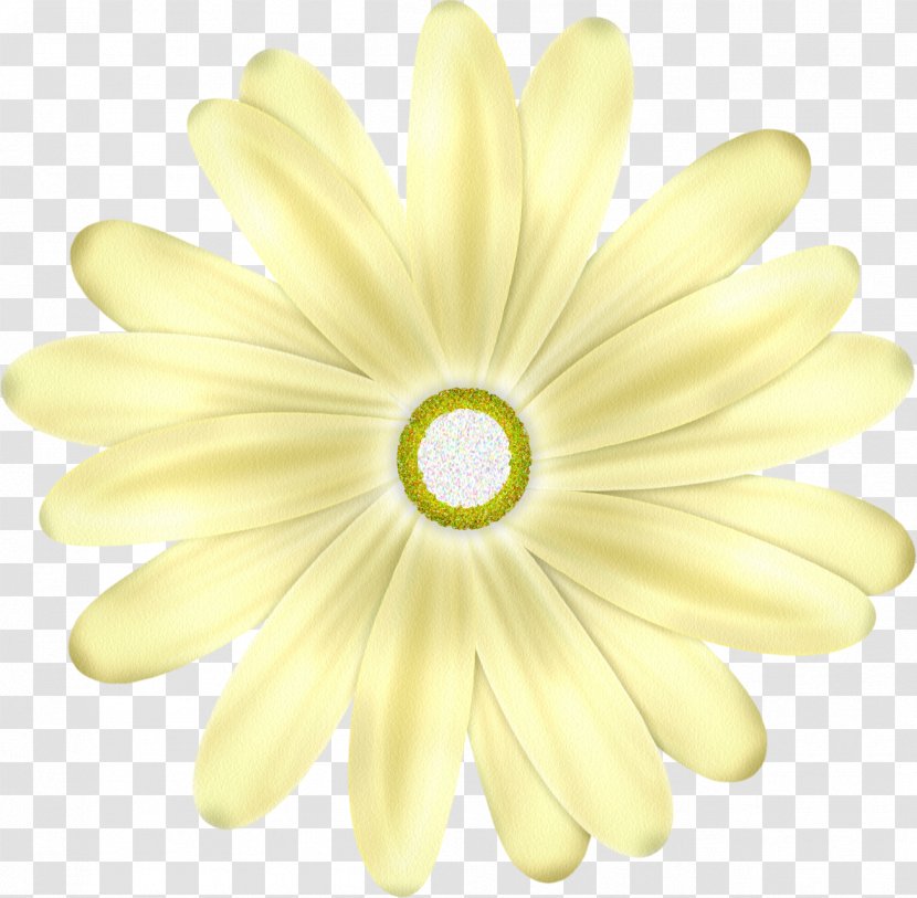 Flower - Petal - Yellow Transparent PNG