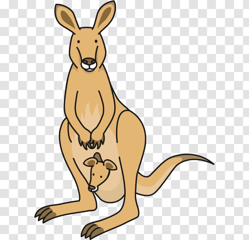 Joey Kangaroo Macropodidae Clip Art Transparent PNG