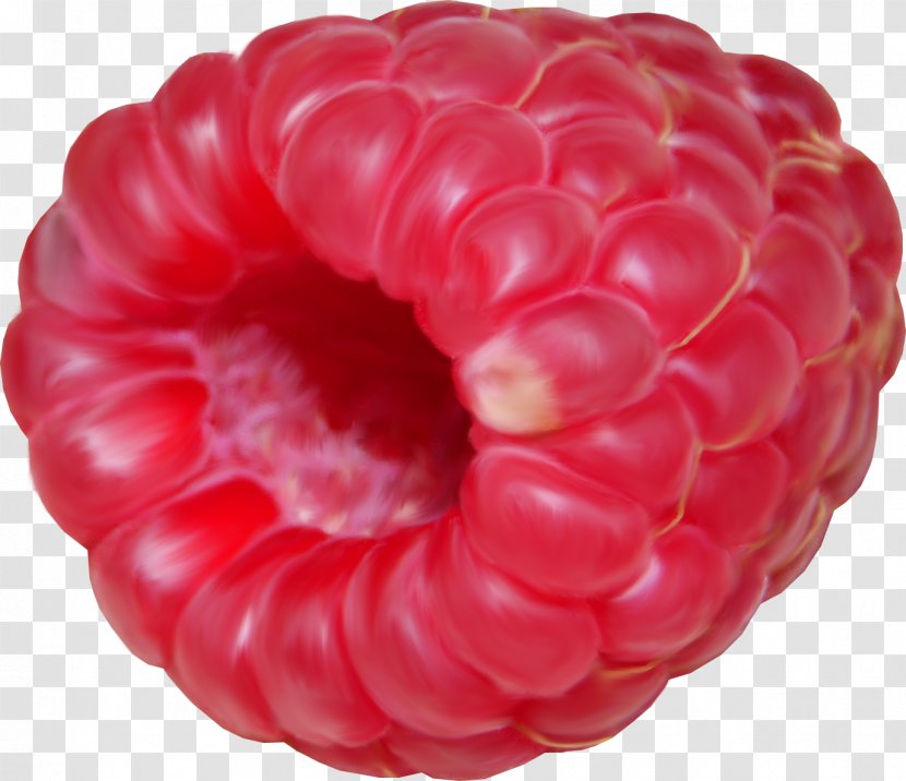 Frutti Di Bosco Raspberry Pi Fruit - Rraspberry Image Transparent PNG