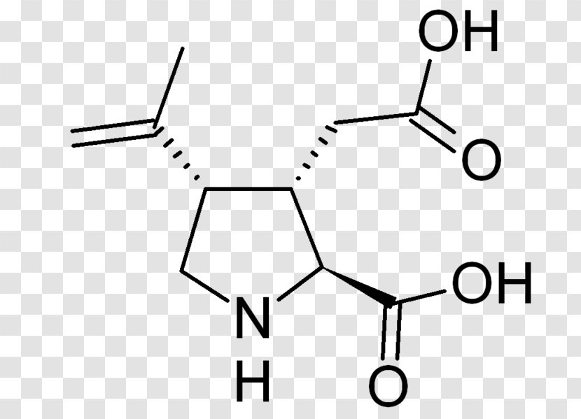 Kainic Acid Structure–activity Relationship Pharmaceutical Drug Chemical Compound - Salt - Chemistry Transparent PNG