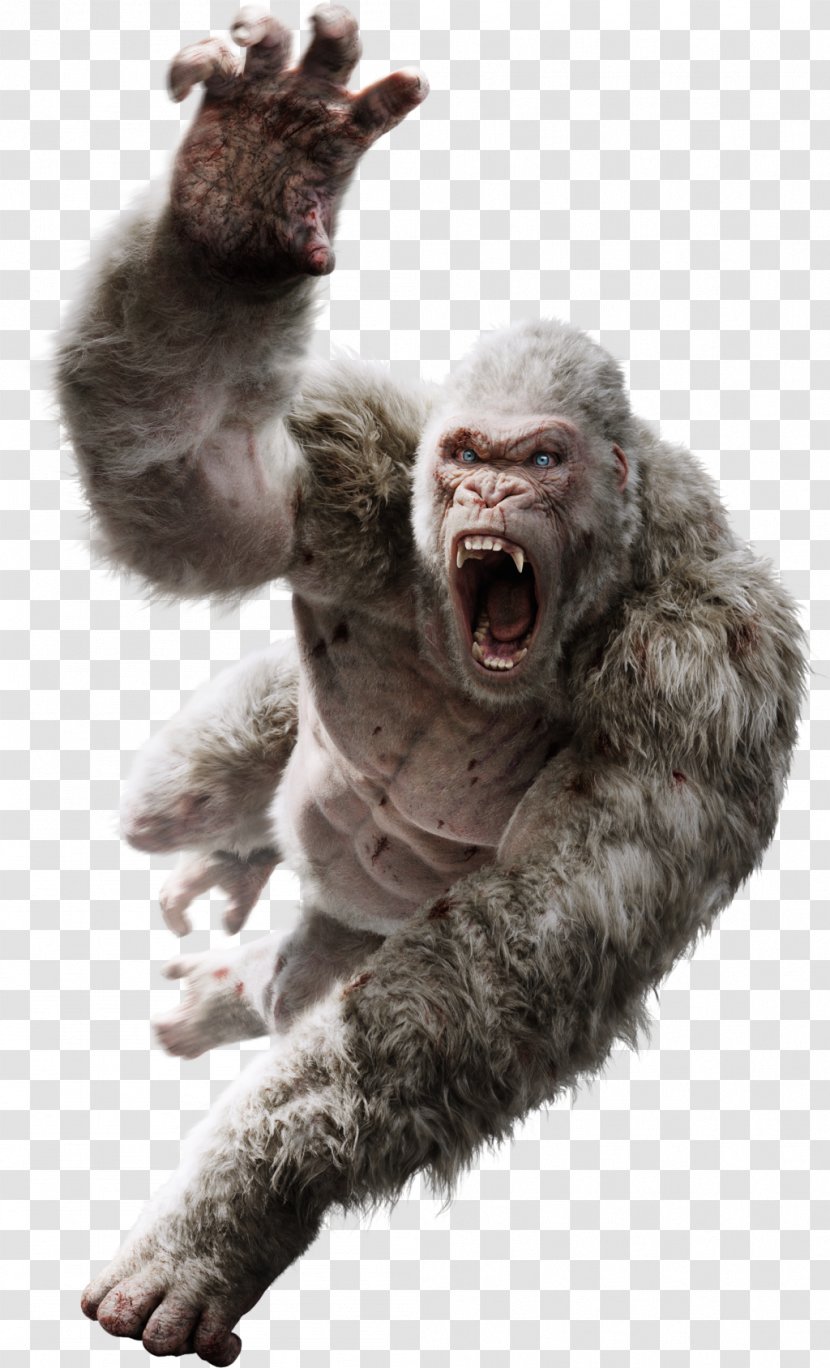 Davis Okoye King Kong Film Art Monster Movie - Trailer - Padme Amidala Transparent PNG