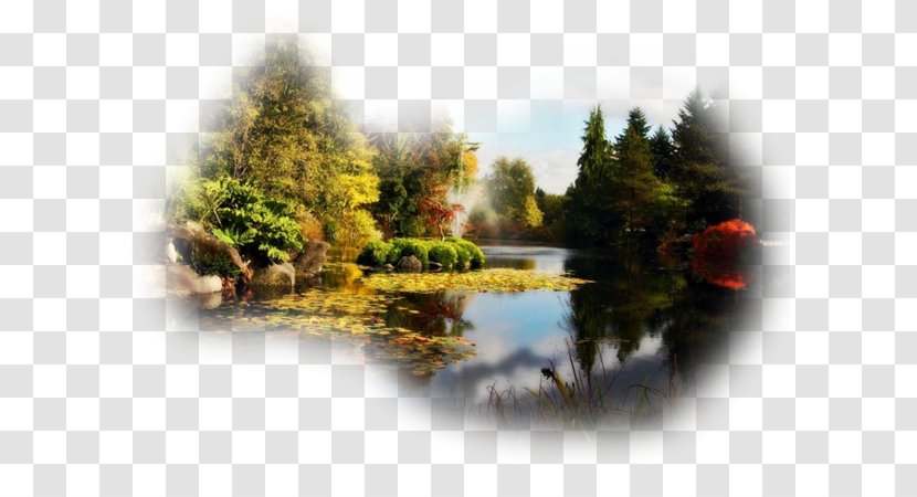 Centerblog Landscape Painting Desktop Wallpaper - Water Resources - Sky Transparent PNG