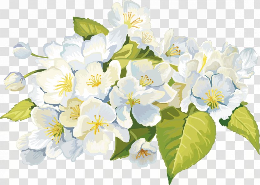 Flower Animation Garden Roses - Blog - White Transparent PNG