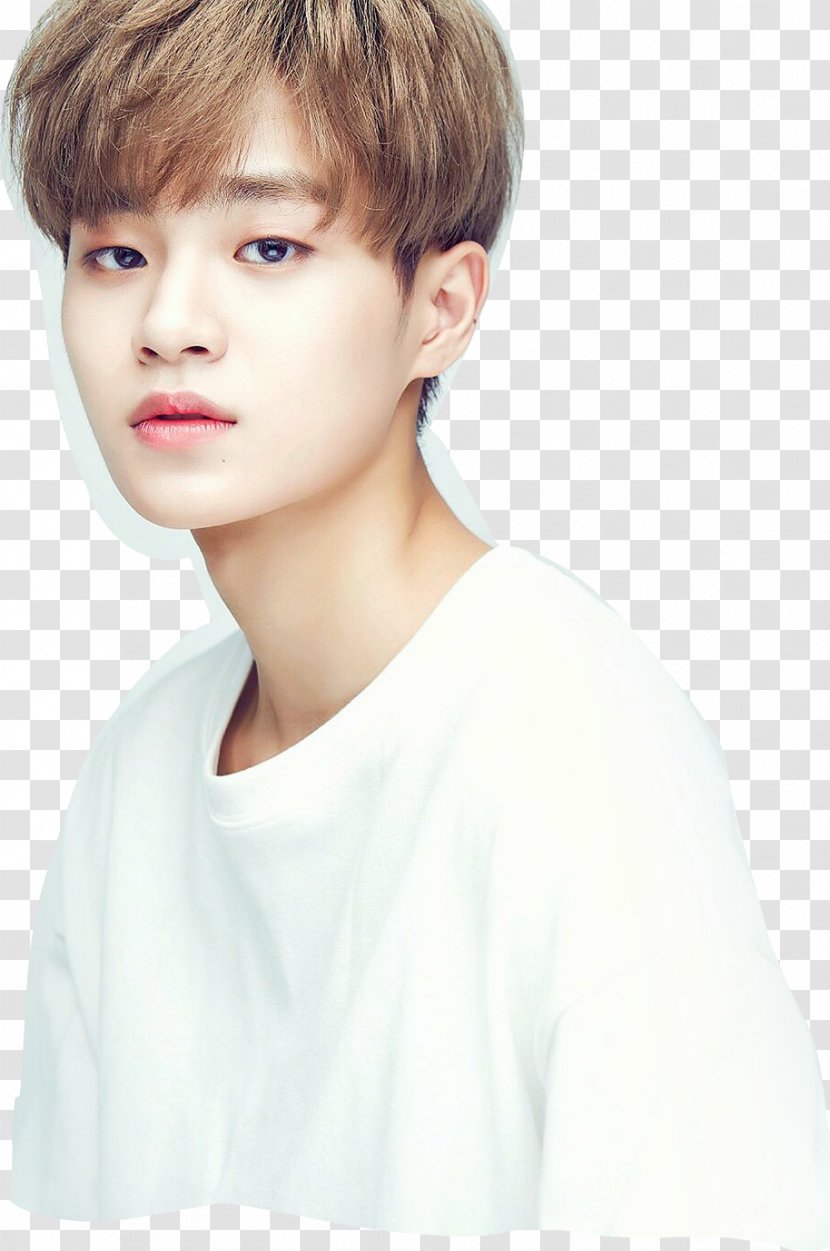 Lee Dae-hwi Wanna One GO Produce 101 Season 2 - Watercolor - Wannaone Transparent PNG