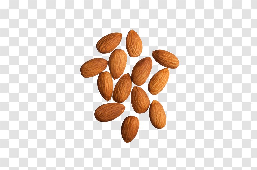 Almond Milk Raw Foodism Nut - Monounsaturated Fat - Almonds Transparent PNG