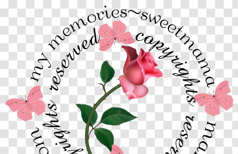 Cut Flowers Floral Design Rose Family - Flower - Syawal Transparent PNG