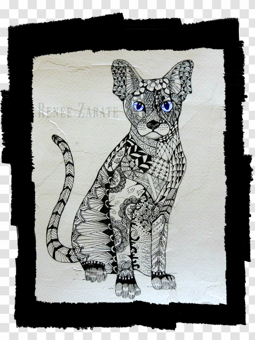 Whiskers Tabby Cat Drawing Transparent PNG