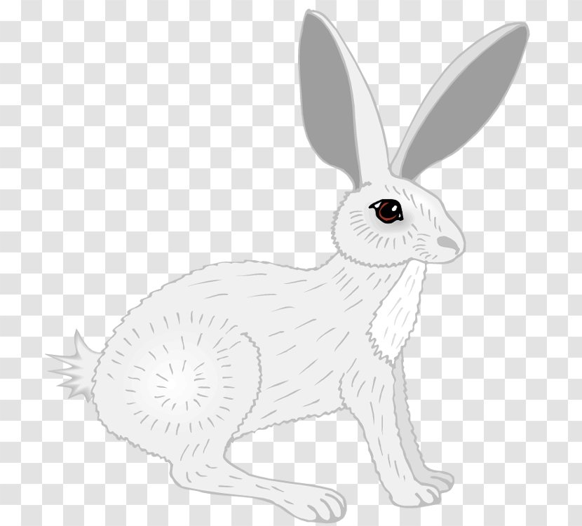 Domestic Rabbit White Hare Line Art - Coloring Book - Images Transparent PNG