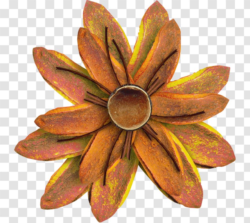 Orange Flower - Handmade Flowers Transparent PNG