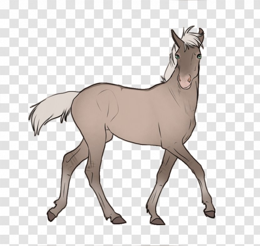 Mule Foal Stallion Colt Pony - Rein - Mustang Transparent PNG