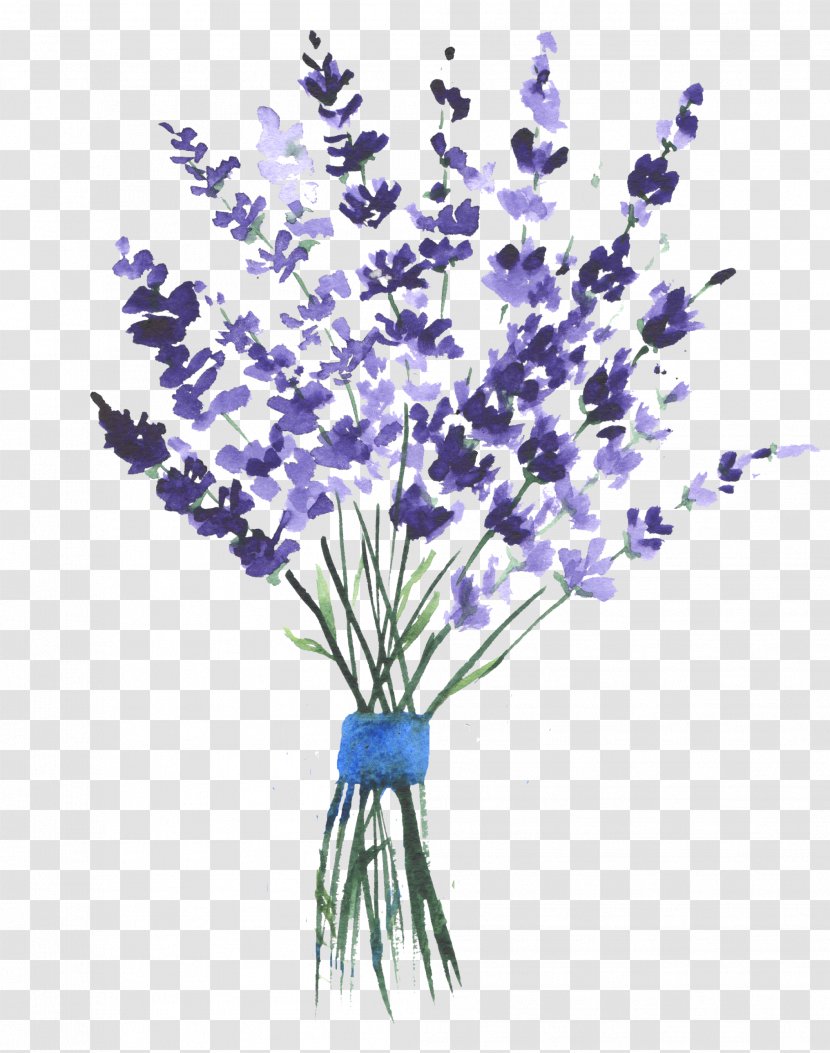 English Lavender Watercolor Painting Clip Art Image Drawing - Grass Transparent PNG