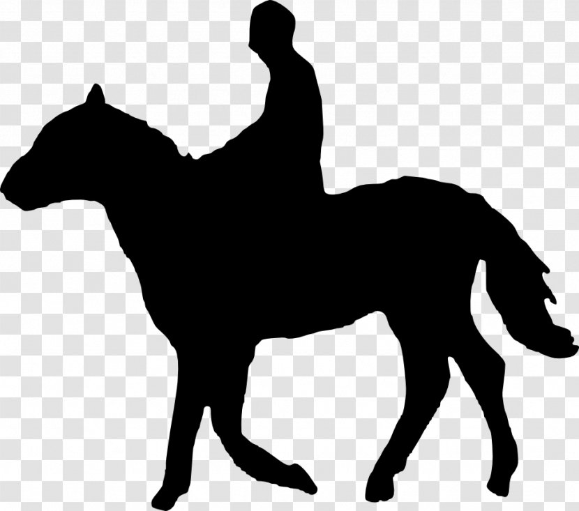 Horse Stallion Equestrian Eventing Clip Art - Like Mammal - Riding Transparent PNG