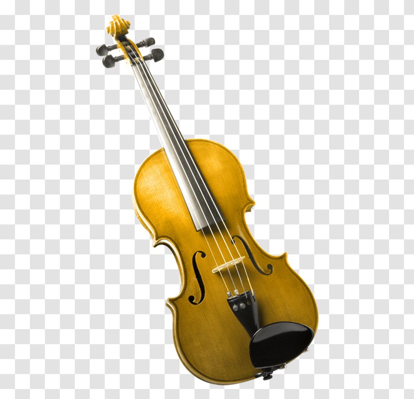 Bass Violin Violone Viola Double - Tree Transparent PNG