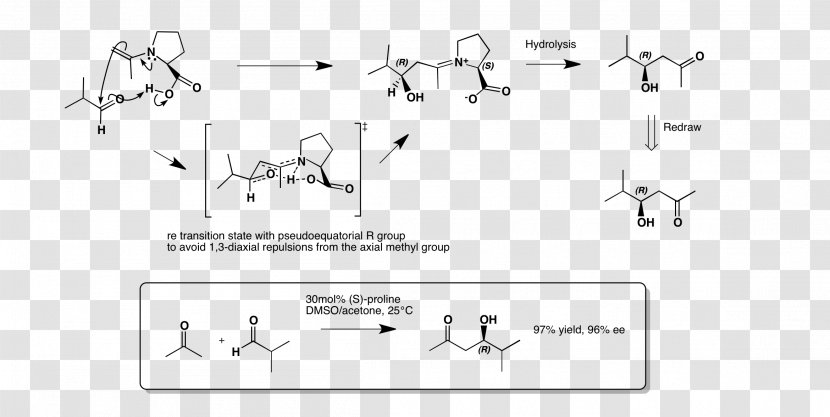 Aldol Condensation Reaction Proline Oxaloacetic Acid - Cartoon - Silhouette Transparent PNG