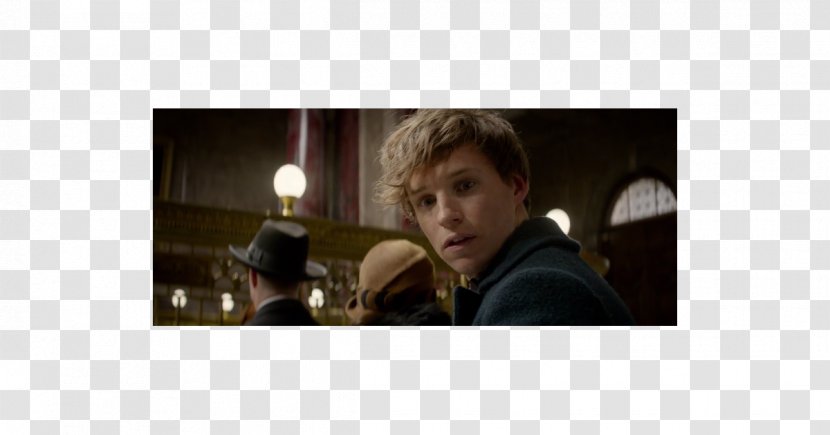Newt Scamander Cinnamon Roll Harry Potter Fantastic Beasts And Where To Find Them Film Series Scorpius Hyperion Malfoy - Hogwarts - Spin-off Transparent PNG