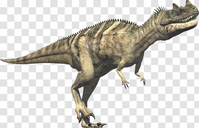 Ceratosaurus Tyrannosaurus Carnivores: Dinosaur Hunter Triceratops - Jurassic Transparent PNG