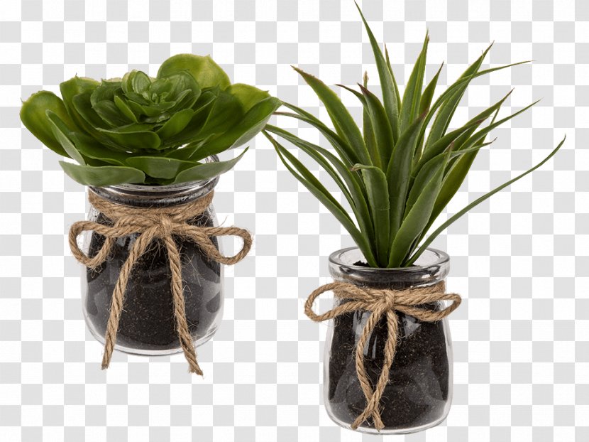 Succulent Plant Artificial Flower Glass Ceramic - Decorative Arts - Suculent Transparent PNG