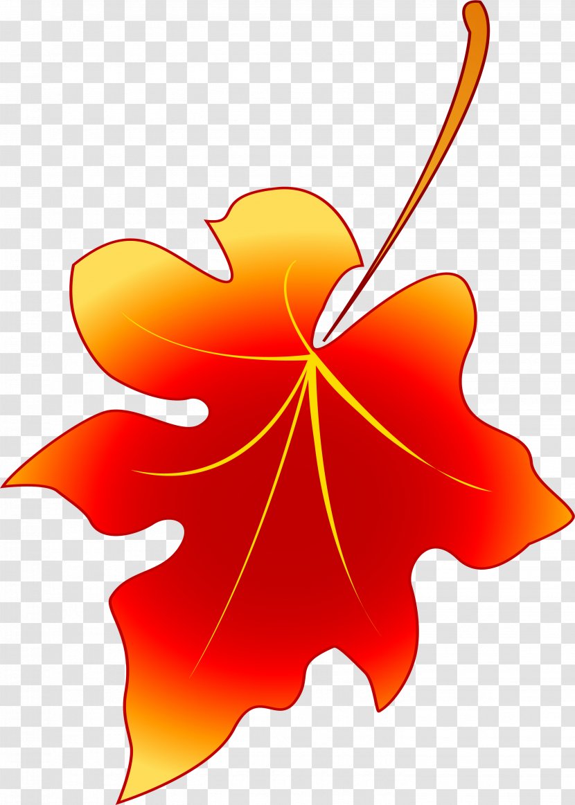 Stencil Leaf Petal Flower - Maple - Leaves Transparent PNG