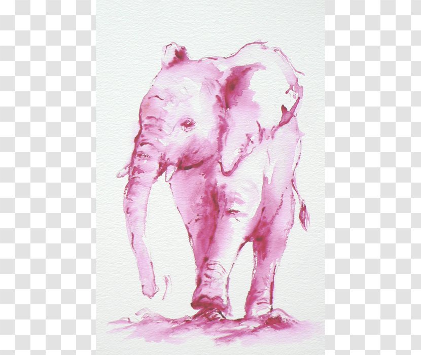 Indian Elephant African Watercolor Painting Drawing Pink M - India Transparent PNG