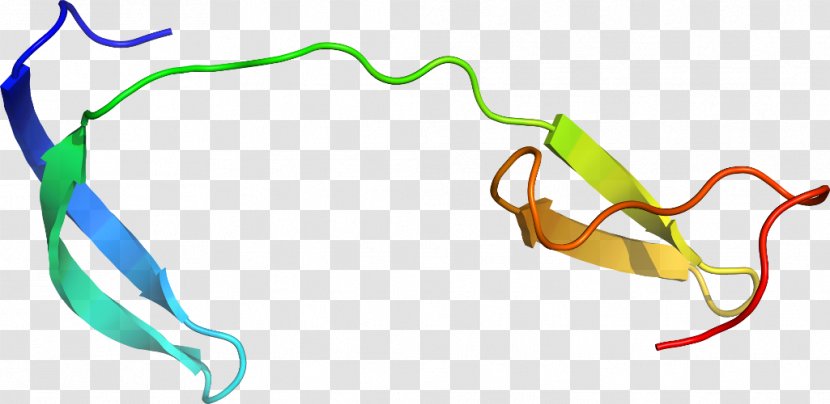 Line Point Leaf Clip Art Transparent PNG