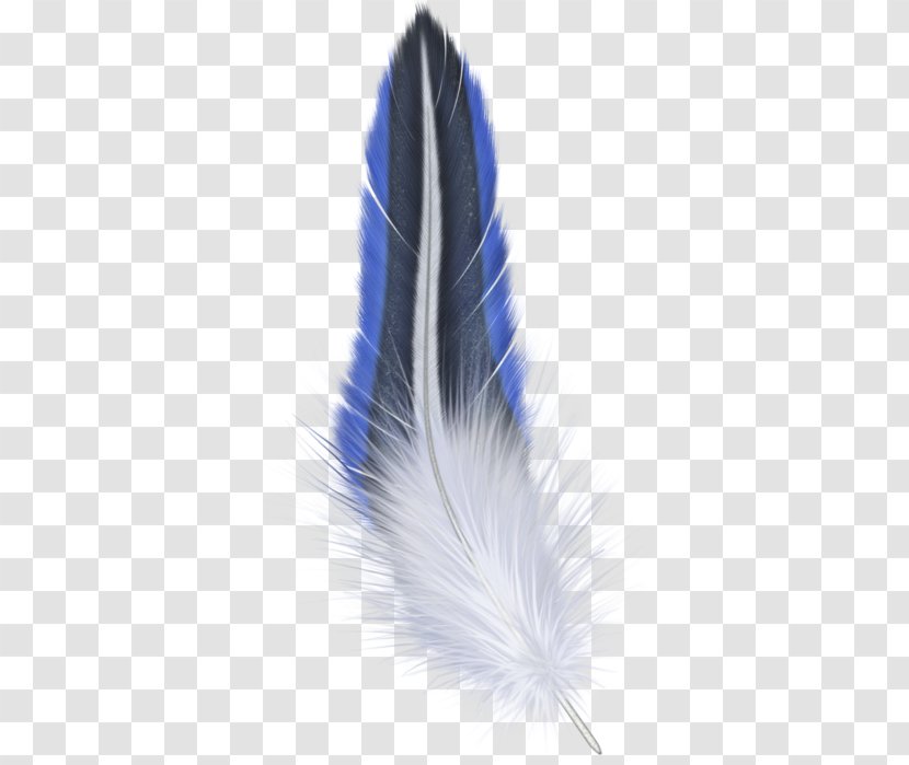 Feather Image File Formats - Data Compression Transparent PNG