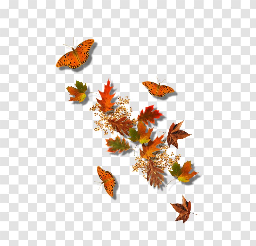 Autumn Leaf Clip Art - Concepteur - Cool Colors Fall In Transparent PNG
