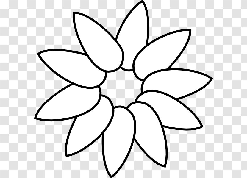 Common Sunflower Petal Drawing Clip Art - Monochrome Photography - Layered Vector Transparent PNG