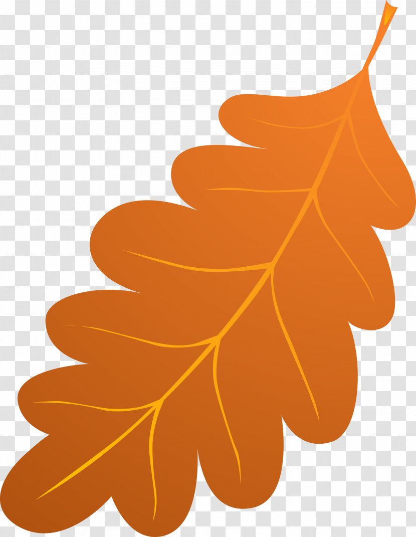 Clip Art Leaf Image Transparent PNG